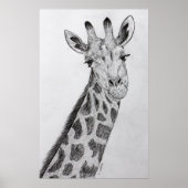 Giraffe Portret Potcil Schets Tekenkunst Afdrukken Poster (Voorkant)