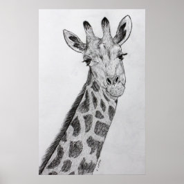 Giraffe Portret Potcil Schets Tekenkunst Afdrukken Poster