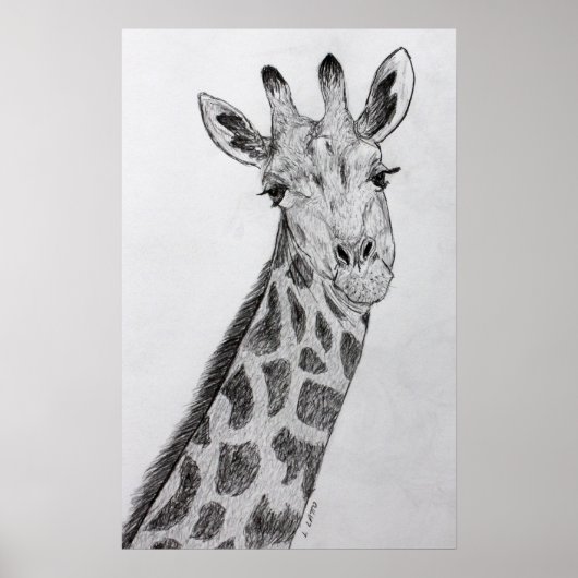 Giraffe Portret Potcil Schets Tekenkunst Afdrukken Poster (Voorkant)