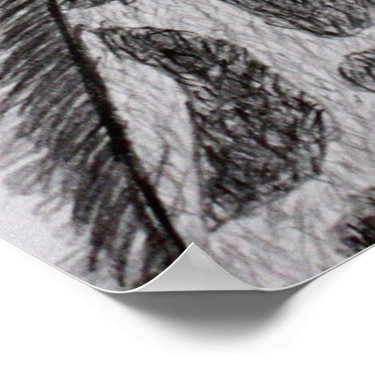 Giraffe Portret Potcil Schets Tekenkunst Afdrukken Poster (Hoek)