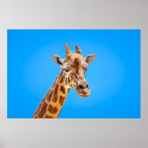 Giraffe Portret tegen Sky Poster