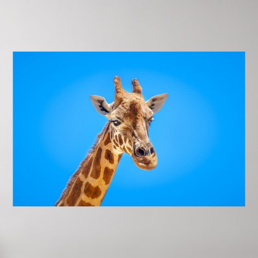 Giraffe Portret tegen Sky Poster (Voorkant)