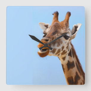 Giraffe Portretwandklok Vierkante Klok