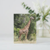 giraffe pose briefkaart (Staand voorkant)
