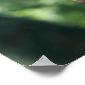 Giraffe Poster (Hoek)