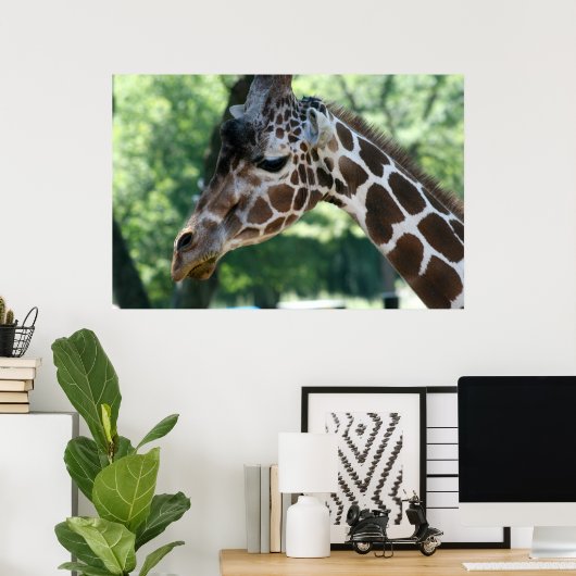 Giraffe Poster (Thuiskantoor)