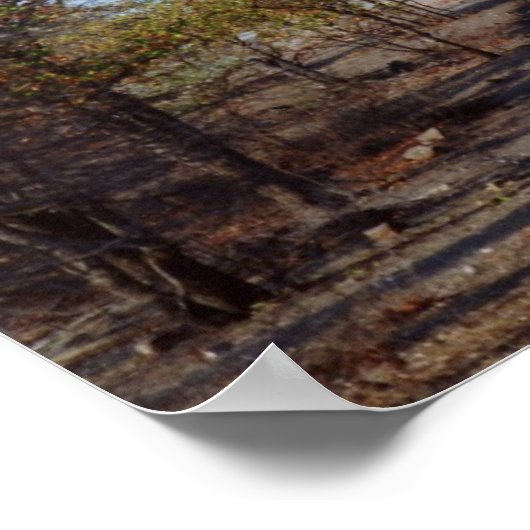 Giraffe Poster (Hoek)