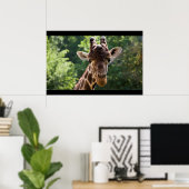 Giraffe Poster (Thuiskantoor)
