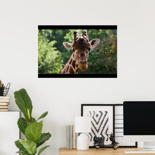 Giraffe Poster (Thuiskantoor)
