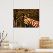 Giraffe Poster (Keuken)