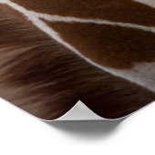 Giraffe Poster (Hoek)