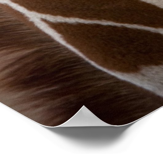 Giraffe Poster (Hoek)