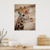Giraffe Poster (Keuken)