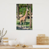 Giraffe Poster (Keuken)