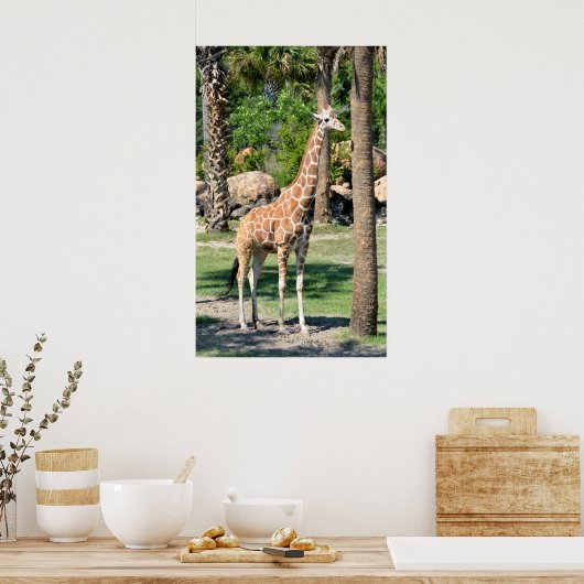 Giraffe Poster (Keuken)