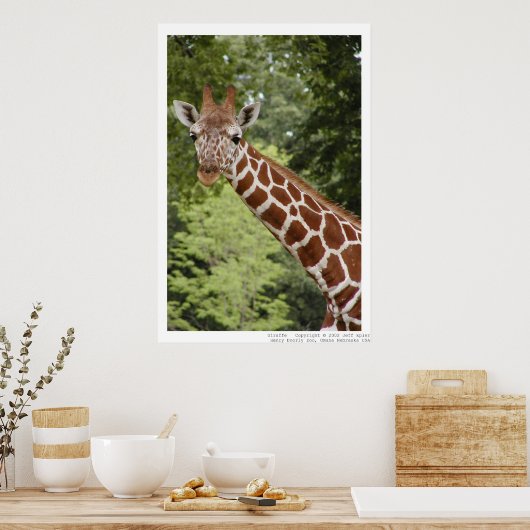 Giraffe Poster (Keuken)