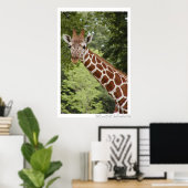 Giraffe Poster (Thuiskantoor)