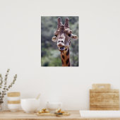 Giraffe Poster (Keuken)