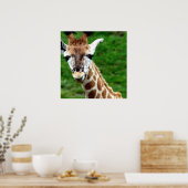 Giraffe Poster afdrukken (Keuken)
