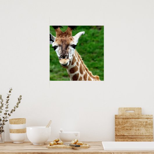 Giraffe Poster afdrukken (Keuken)