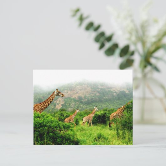 giraffe postkarte briefkaart (Staand voorkant)