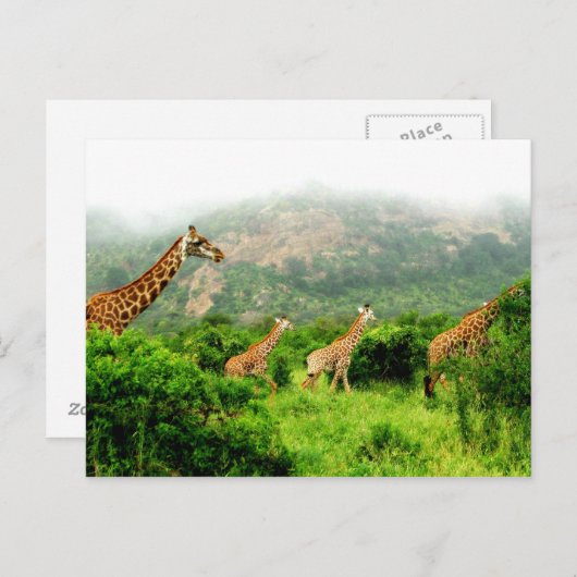 giraffe postkarte briefkaart (Voorkant / Achterkant)