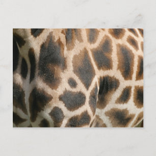 Giraffe Print Pattern Briefkaart