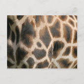 Giraffe Print Pattern Briefkaart (Voorkant)
