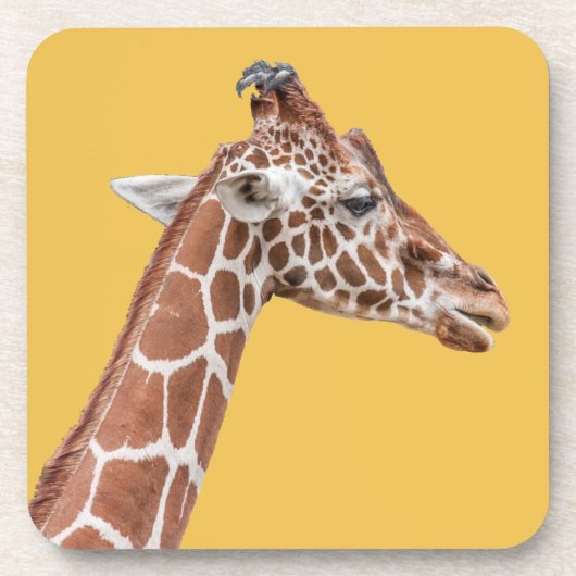 Giraffe profiel drankjes onderzetter (Voorkant)
