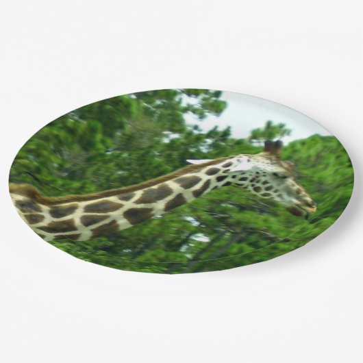 Giraffe Profiel Papieren Borden Bordje (Gekanteld)
