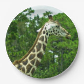 Giraffe Profiel Papieren Borden Bordje (Voorkant)
