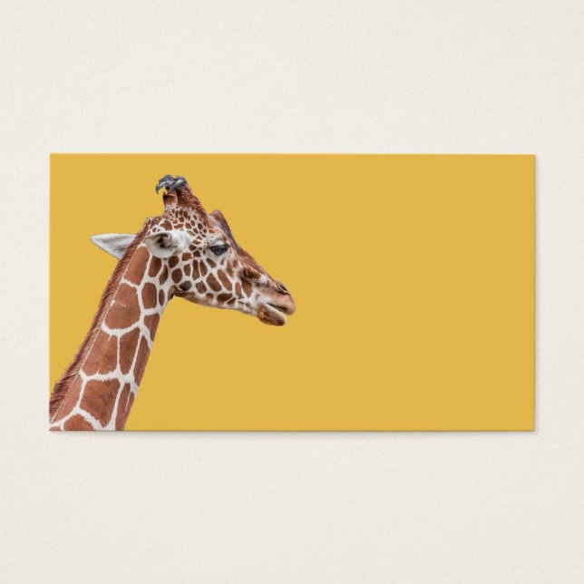 Giraffe profiel visitekaartjes (Voorkant)