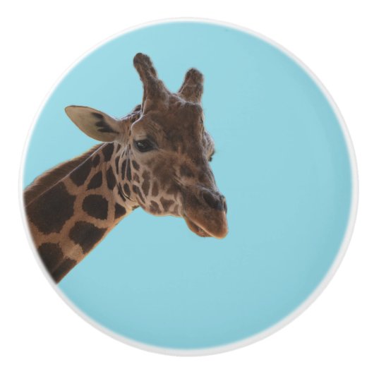 Giraffe pull knob keramische knop (Voorkant)
