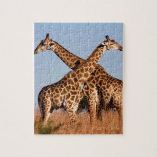 Giraffe Puzzle Legpuzzel