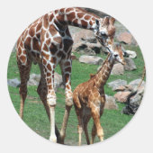 Giraffe Ronde Sticker (Voorkant)
