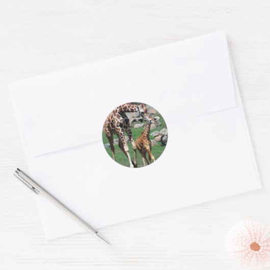 Giraffe Ronde Sticker (Envelop)