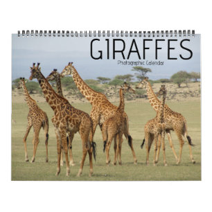 Giraffe Safari 2025 Grote kalender