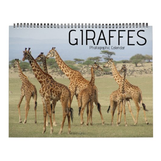 Giraffe Safari 2025 Grote kalender (Hoes)