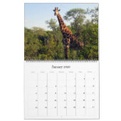 Giraffe Safari 2025 Grote kalender (Jan 2026)