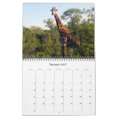 Giraffe Safari 2025 Kalender (Jan 2027)