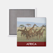 giraffe safari magneet (Voorkant / Achterkant)