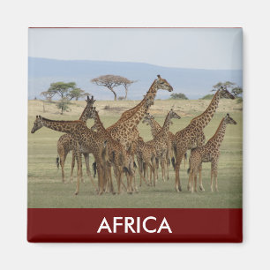 giraffe safari magneet
