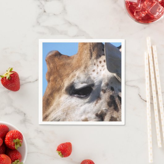 GIRAFFE SERVET (Insitu)