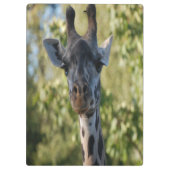 Giraffe Shower Klembord (Achterkant)