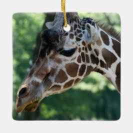 Giraffe Siervoorwerp Keramisch Ornament