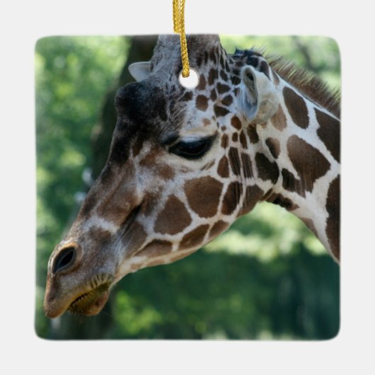 Giraffe Siervoorwerp Keramisch Ornament (Voorkant)