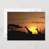 Giraffe Silhouette - Blank voor je eigen bericht Briefkaart (Voorkant / Achterkant)