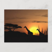 Giraffe Silhouette - Blank voor je eigen bericht Briefkaart (Voorkant)