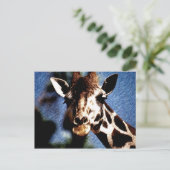 Giraffe Sketch Briefkaart (Staand voorkant)