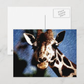 Giraffe Sketch Briefkaart (Voorkant / Achterkant)
